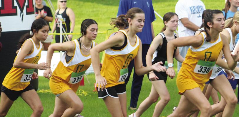 Cross country teams come out running